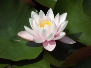 DSCF0319